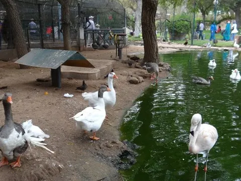 Maroko | Mali mieszkańcy zoo