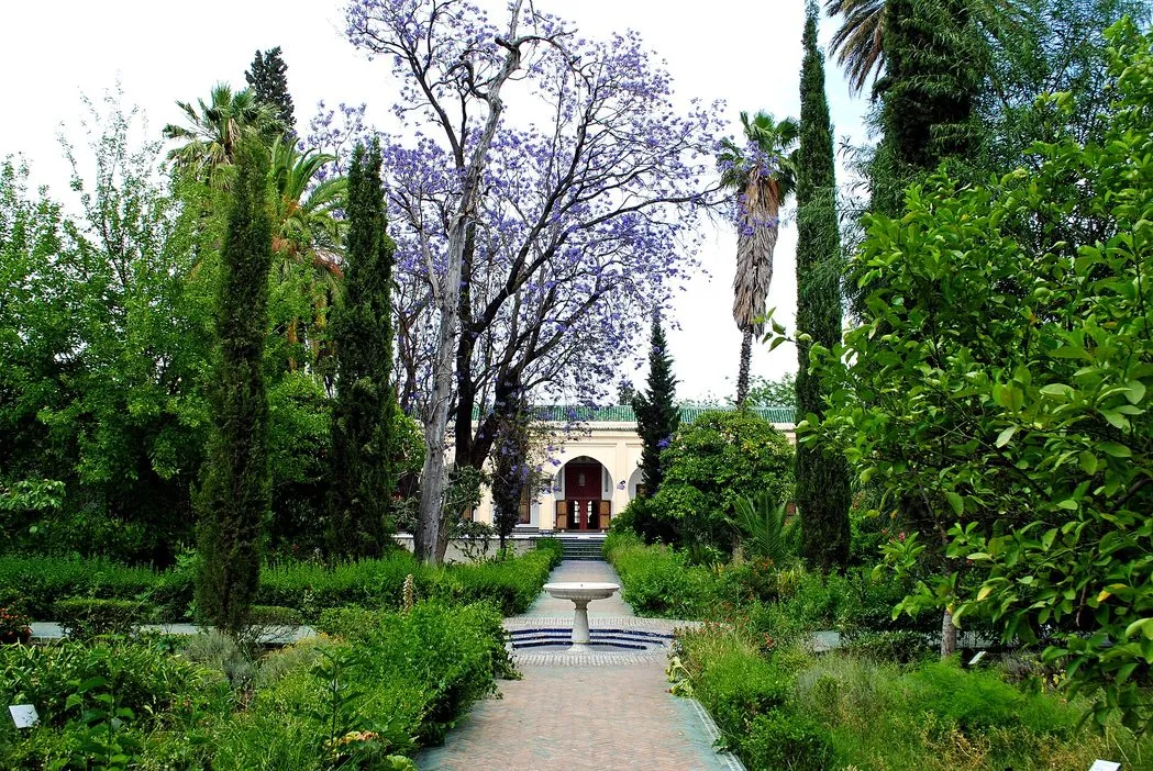 Maroko | Ogród Muzeum Dar Batha w Fezie