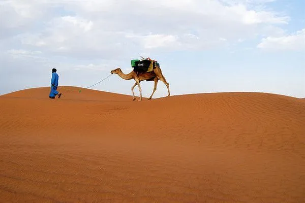 Maroko | Sahara, Maroko