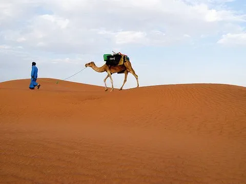 Maroko | Sahara, Maroko