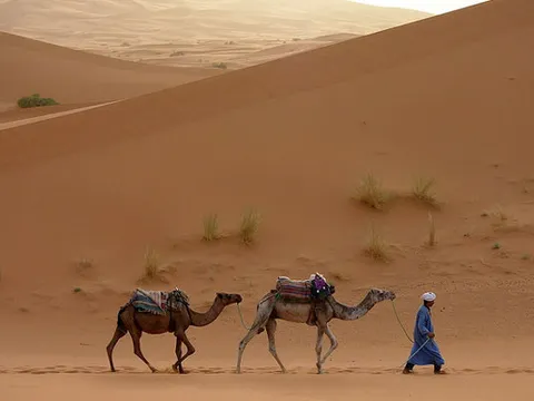 Maroko | Wydmy Erg Chebbi – krajobrazy marokańskiej Sahary