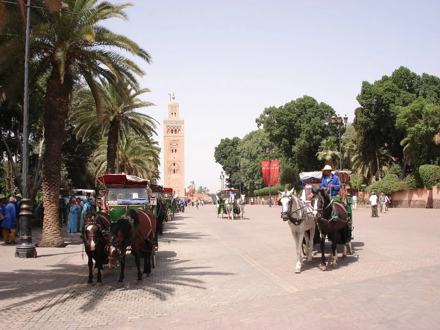 Maroko | Dorożki na ulicy Marrakeszu, w tle minaret Kutubijji