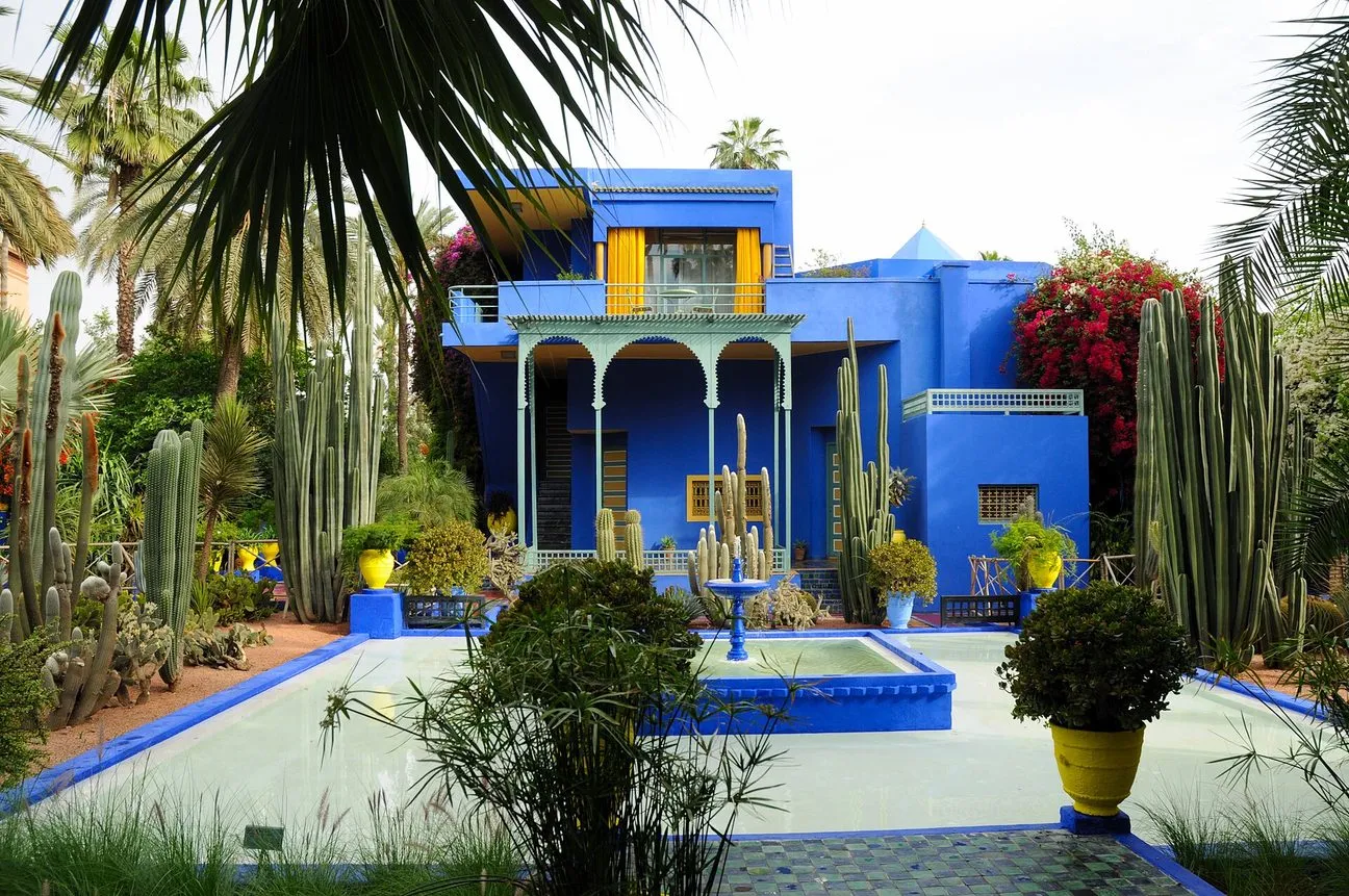Maroko | Ogród Majorelle w Marrakeszu