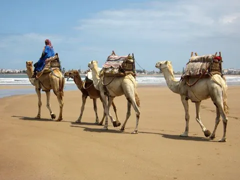 Maroko | Planujesz wakacje swoich marzeń? A co powiesz na Maroko!