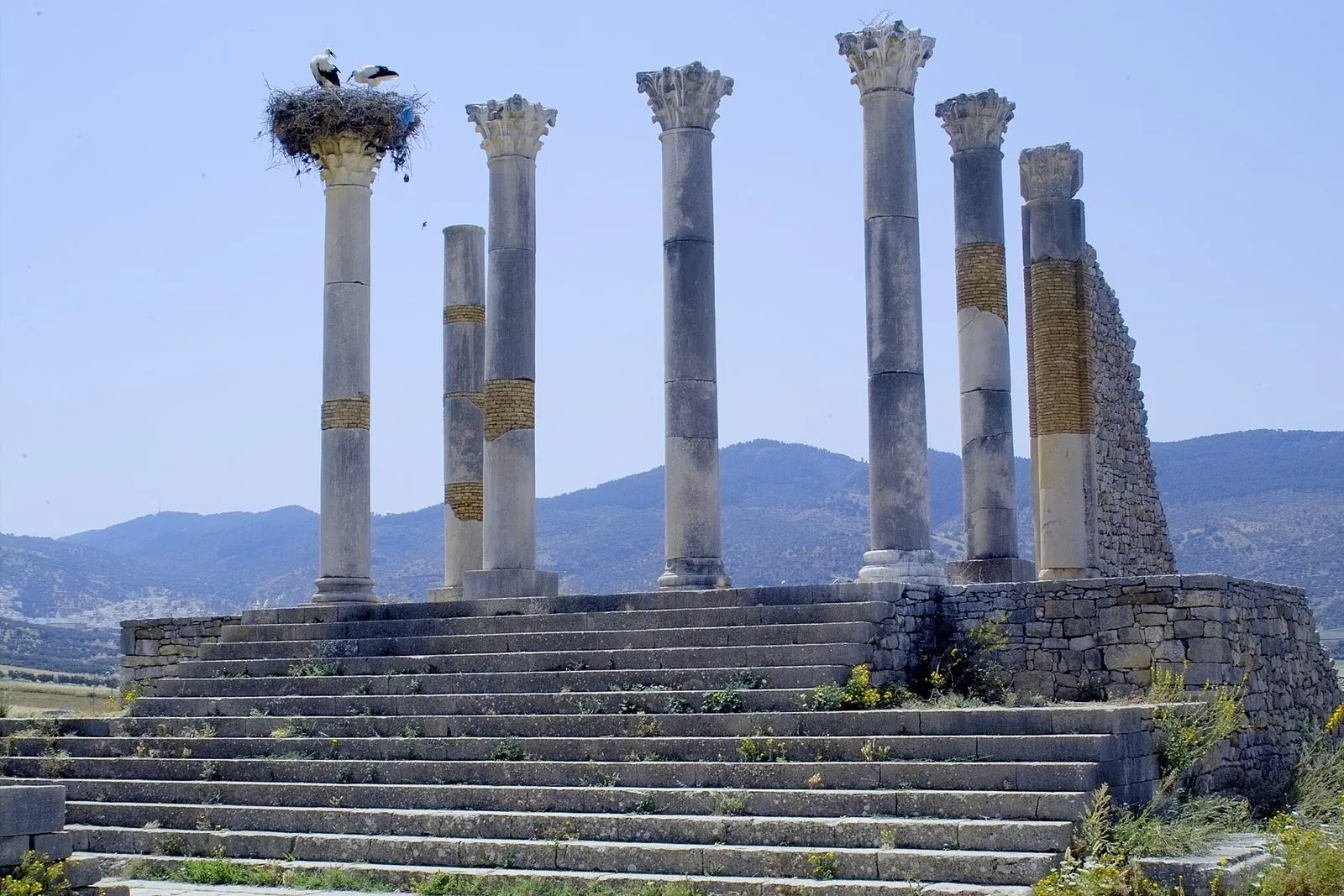 Maroko | Kolumny Kapitolu w Volubilis z gniazdami bocianów Maroko | Kolumny Kapitolu w Volubilis z gniazdami bocianów